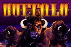 Buffalo Slots Online